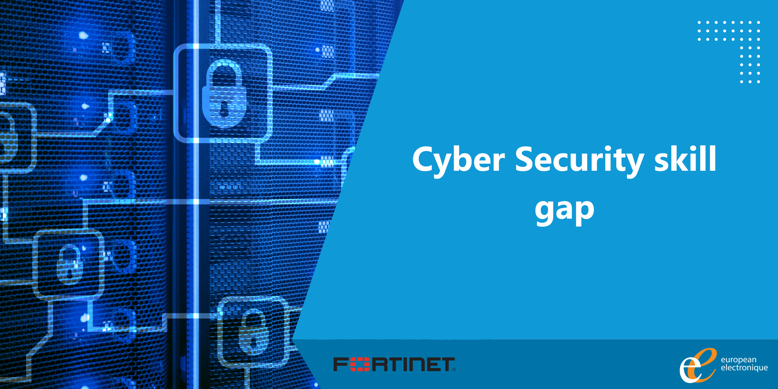 Cyber Security skill gap